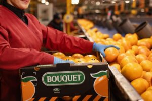 Frucimu entra en el accionariado de Agriconsa para reforzar la producción de pomelo industrial