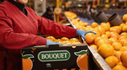 Frucimu entra en el accionariado de Agriconsa para reforzar la producción de pomelo industrial