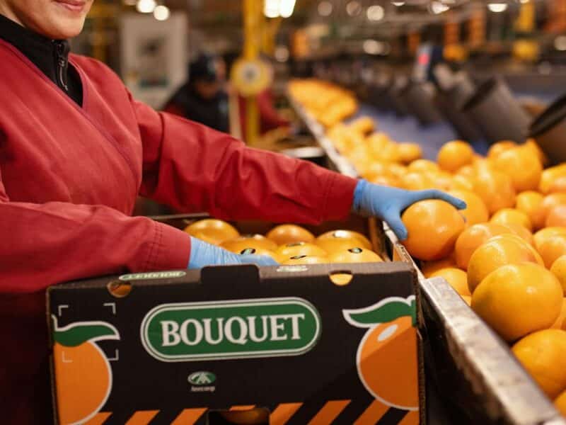 Frucimu entra en el accionariado de Agriconsa para reforzar la producción de pomelo industrial