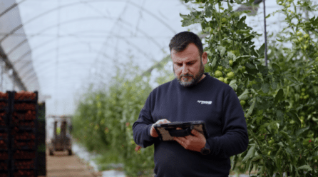 Agroponiente alcanza un récord histórico: 376 millones de euros en 2024-2025