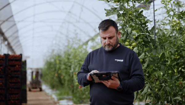 Agroponiente alcanza un récord histórico: 376 millones de euros en 2024-2025