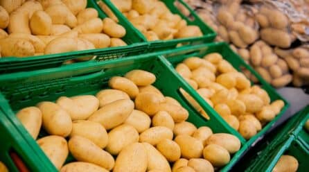 Crecen las importaciones españolas de frutas y hortalizas