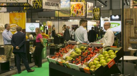Fruit Attraction 2025 reafirma su liderazgo global con más de 121.000 profesionales y cifras récord