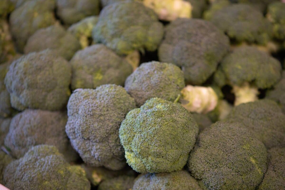 Brócoli: análisis de la hortaliza europea con mayor valor nutricional, ahora de temporada