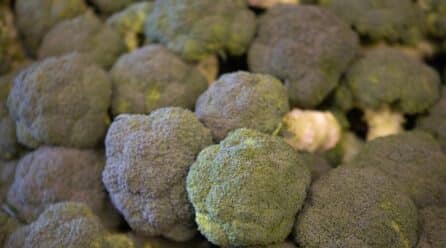 Brócoli: análisis de la hortaliza europea con mayor valor nutricional, ahora de temporada