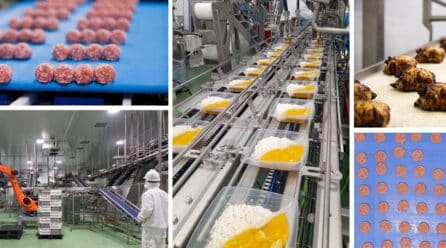 Familia Martínez refuerza su expansión con 150 millones de inversión en nuevas plantas y logística