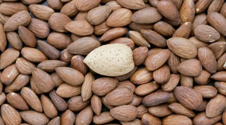 El grupo alemán Edeka apuesta por la almendra ibérica frente al modelo californiano