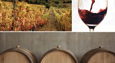 El vino español busca afianzarse en Corea del Sur
