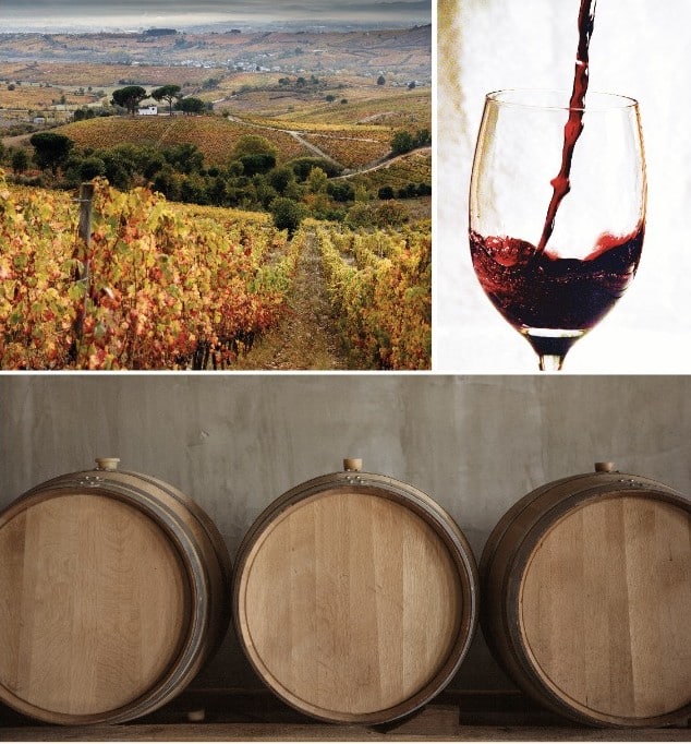 El vino español busca afianzarse en Corea del Sur