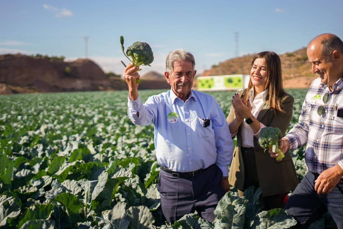 +Brócoli lanza su nueva campaña de promoción del consumo de brócoli en España y, por primera vez, en Alemania