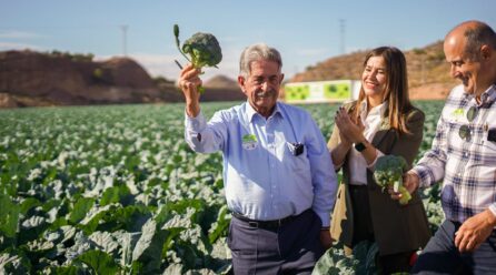 +Brócoli lanza su nueva campaña de promoción del consumo de brócoli en España y, por primera vez, en Alemania