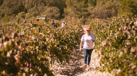 Grupo Coviñas celebra su 60 aniversario uniéndose a la marca colectiva ‘Producto Cooperativo’