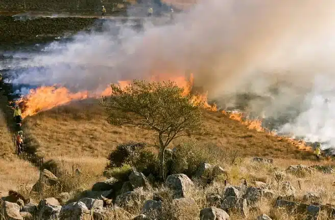El MAPA destina 27,8 millones de euros a 9.000 agricultores y ganaderos afectados por los incendios del verano