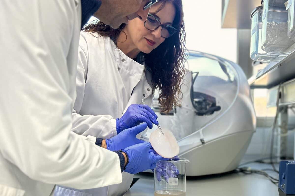 El CEBAS-CSIC revela que el SCOBY de kombucha puede transformar azúcar en ácido gálico, un potente antioxidante natural