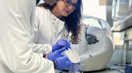 El CEBAS-CSIC revela que el SCOBY de kombucha puede transformar azúcar en ácido gálico, un potente antioxidante natural