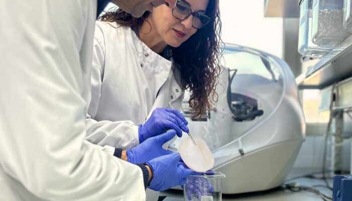 El CEBAS-CSIC revela que el SCOBY de kombucha puede transformar azúcar en ácido gálico, un potente antioxidante natural
