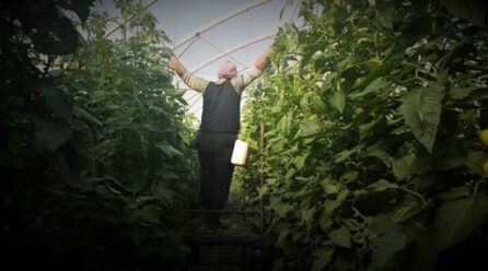 La renta agraria crecerá casi un 13 % en 2025 y superará los 41.000 millones de euros