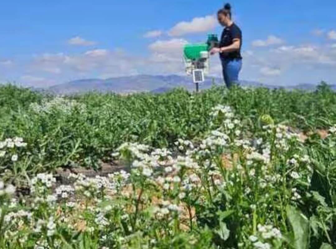 Ingenieros agrónomos denuncian veto en la prescripción de fertilizantes en Murcia