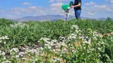 Ingenieros agrónomos denuncian veto en la prescripción de fertilizantes en Murcia
