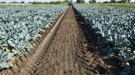 Los agricultores murcianos volverán a movilizarse el 29 de enero bajo el lema “Sobran los motivos”