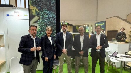 Cricket consolida su posición en Europa tras una Fruit Logistica marcada por la complejidad de la campaña