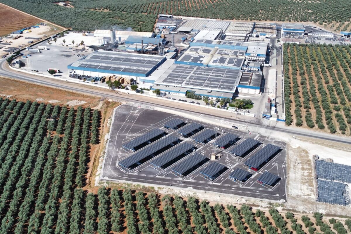Agrosevilla adquiere Rioverde para reforzar su posición en el mercado de encurtidos