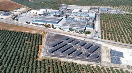 Agrosevilla adquiere Rioverde para reforzar su posición en el mercado de encurtidos