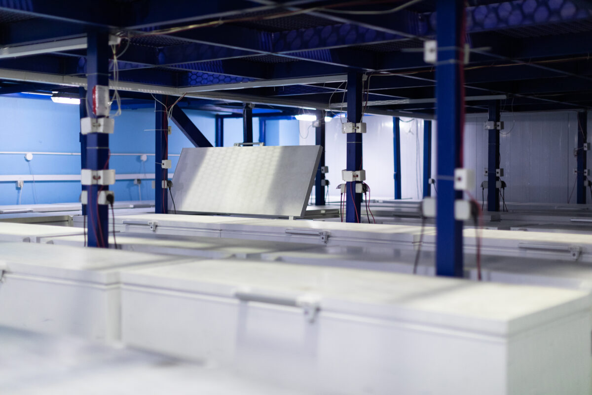 Alimentos congelados: innovación y tecnología detrás de su conservación