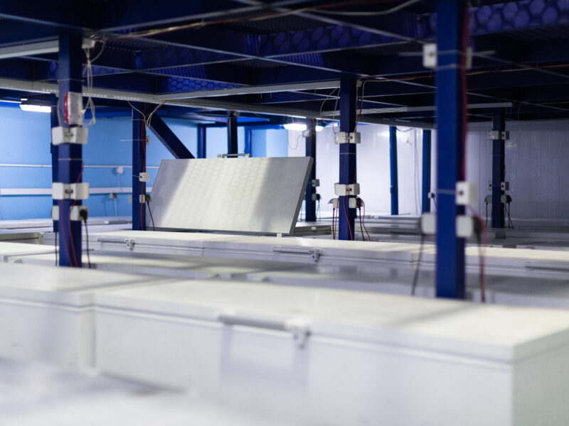 Alimentos congelados: innovación y tecnología detrás de su conservación
