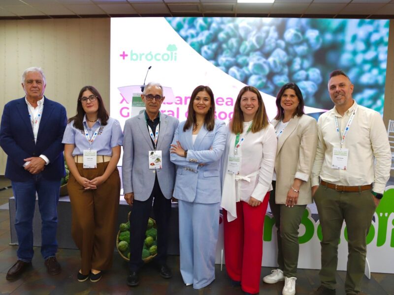 +Brócoli afianza su crecimiento en 2026 y refuerza su proyección nacional e internacional